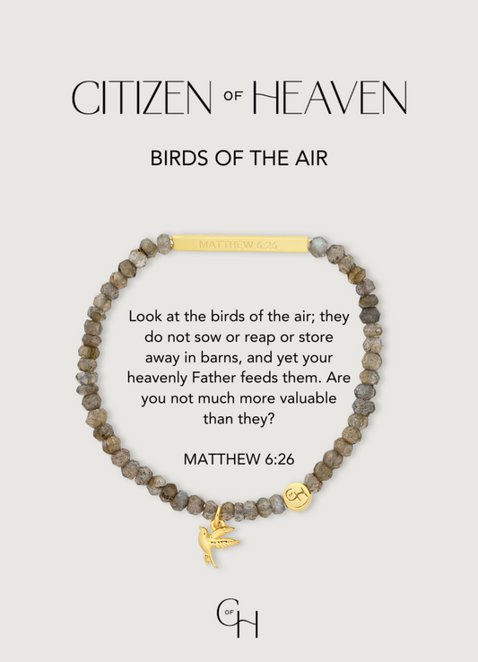 Birds of the Air Scripture Bracelet